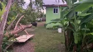 Melissa Aftermath in My Yard OmG ! 