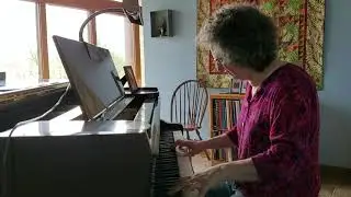 Moving Home/St. Brigid's Well (Nic Gabhann) - Irish tunes