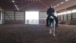 Stopping your horse: Not just for reiners @_thenaturalhorseman