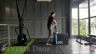 REVERSE DROP (LANDING SERIES)