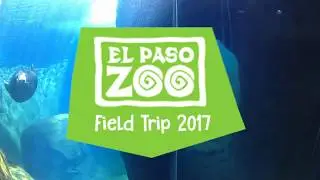 El Paso Zoo Field Trip 2017