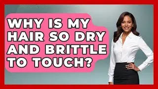 Why Is My Hair So Dry And Brittle To Touch? | Ultimate Hair Care Guide