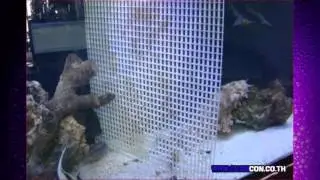 Aquarium Air ventilation Eggcrate panel diffusers ตะแกรงอุปกรณ์ตกแต่งตู้เลี้ยงปลาสวยงาม กรองลม