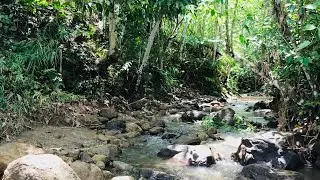 Relaxing Amayang