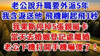 老公說升職要外派5年，我含淚送他 飛機剛起飛1秒，我果斷停掉5張親屬卡，當天去婚姻登記處離婚，老公下機打開手機 徹底傻了！#思妤說故事#為人處世#生活經驗#情感故事#晚年哲理#說故事#完結文#原創故事