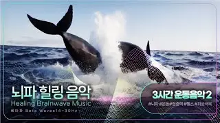 Healing Brainwave Music 💪베타파 Beta Waves14~30Hz💪  3시간 동안 열심히 운동~  집중력 UP!!  2️⃣ #뇌파 #운동#집중력 #핼스 #피로극복
