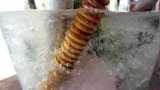 orgonized Ice Cloudbuster frozen Water chembuster Orgon experiment orgonisertes eis Wilhem Reich