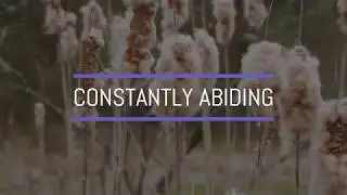 Constantly Abiding