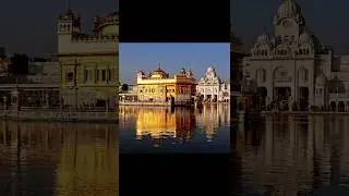 Sikh Gurus Related Questions || Sikh History Quiz | Punjabi Facts #waheguruji #punjabiquiz