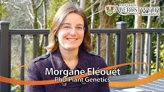 Postgrad Student Talks: Morgane El&eacute;ou&euml;t, PhD Plant Genetics