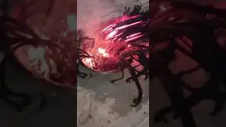 Diwali Crackers Experiment | 1000 Snake🐍😱Bomb #shorts