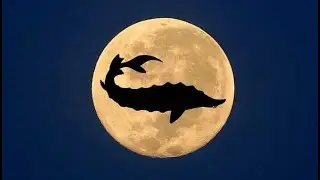 August Full Moon Prayer Release Ceremony: The Sturgeon Moon