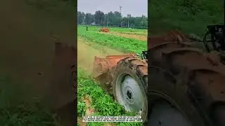 Mini Plow Tractor Innovation for Potato Field Preparation #farming #satisfying