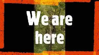 Beginners treks in Himachal Shoja  - Trek to Raghupur Fort and Shoja Waterfall in the lap of nature