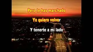 MI EX AMOR BANDA CAPIIBARY karaoke