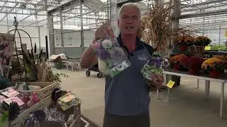 Wednesdays with Wayne: Planting Spring Flowering Bulbs