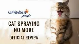 Cat Spraying No More Review - Does it's a Scam? TRUTH EXPOSED!