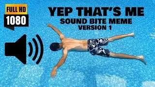 Yep, That's Me You're Probably Wondering Meme - Sound Bite Version 1