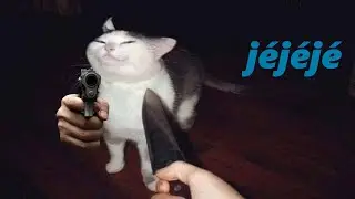 Killing regarded biggers in bs
