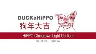 Chinese New Year Light up Tour 2018