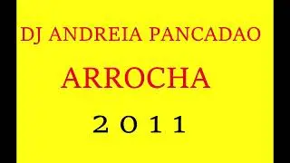 CD ARROCHA 2011