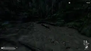 DPS  | Cel3 peak l 20250321