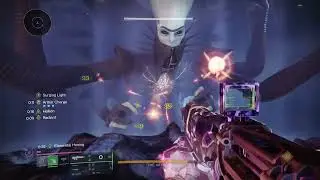Solo Witness Prismatic Warlock Rotation