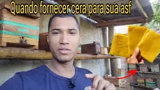 CERA MISTA PARA SUAS ABELHAS SEM FERRÃO-VEJA QUANDO É NECESSÁRIO 