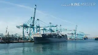 Life of seaport  in visit with feautiful