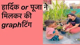 Graphting कैसे करे ?