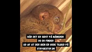 Det er fredag og det betyder tilbud