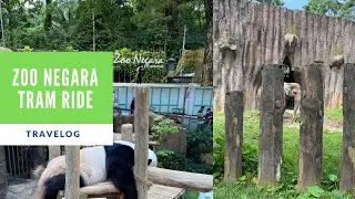 Pengalaman Menaiki Tram di Zoo Negara #Zoonegara#Familytime