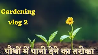 पौधों में पानी देने का तरीका