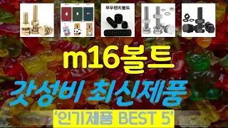 m16볼트 추천, 돈낭비 그만하세요 가성비 TOP5