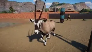 Planet Zoo (PC)(English) #53 6 Minutes of Gemsbok