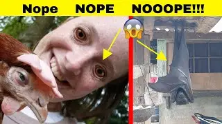 Pictures That Will Make You Say NOOOPE!