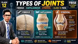 Joint | Types of Joints | Fibrous, Cartilaginous and Synovial Joints | Class 12 FBISE New Biology