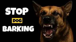 Dog Whistle that makes Dogs Stop Barking - Repellent Sound