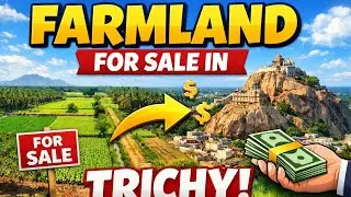 Farm Land for Sale in Trichy | Low Budget | Best Investment Opportunity #trichyrealestate #trichy 