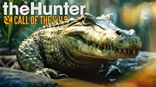 CAÇANDO CROCODILO PELA PRIMEIRA VEZ! (FUI ATACADO) - The Hunter Call Of The Wild