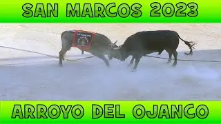 ARROYO DEL OJANCO 🐂 SAN MARCOS 2023 ➤ JAEN