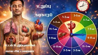24 மணி நேர உடல் உறுப்புகள் செயல்படும் நேரம் | Acupuncture Time Table