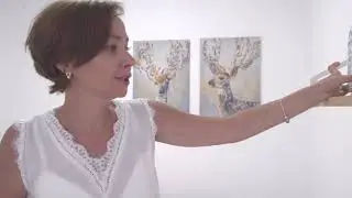 TRUE LIFE DEVELOPMENT - видео обзор  Studio plus
