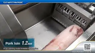 Watanabe foodmach Frozen Chop cutter