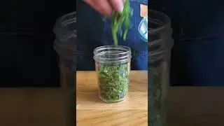 Fermented wild garlic butter!