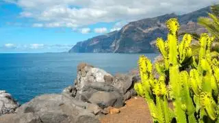 Tenerife - Canary Islands - Spain