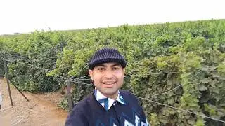 Visit to a grapes Garden in Hail Province