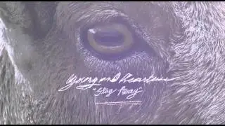 Young and Heartless - Misery on Misery