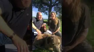 CLip 01 Positive Emotionen