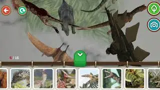 [CurioTV] A magical time when my house turns into a zoo, How about play with Curio Safari AR 💗